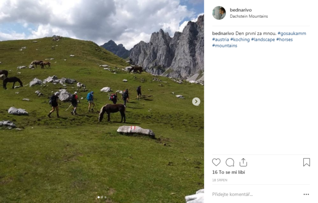 Instagramový příspěvek se stádem koní
